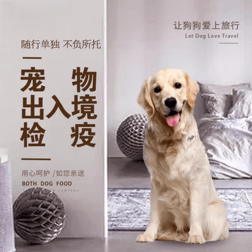 绵阳市宠物托运到哥伦比亚猫狗宠物入境规定和
