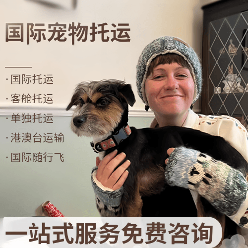 绵阳市国际宠物托运到阿根廷宠物入境规定和要