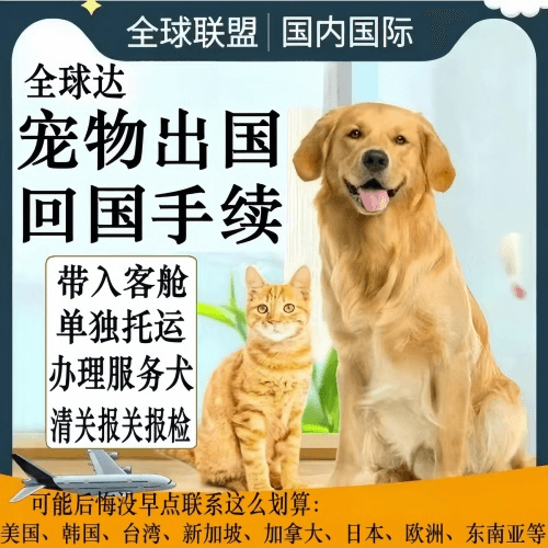 绵阳市宠物托运到柬埔寨宠物入境规定和要求