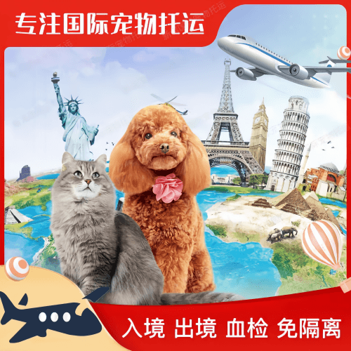 绵阳市宠物托运到美国宠物入境最新规定和要求