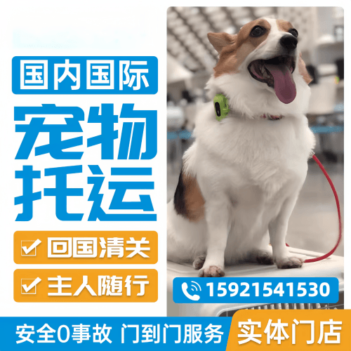 1733120105732.png