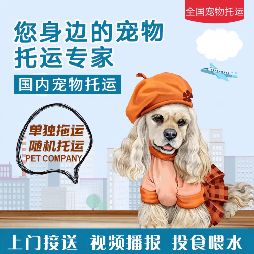 满财绵阳市宠物全球达宠物托运作为专业的宠物运输代理机构